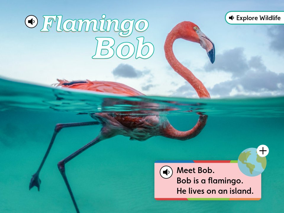 Flamingo Bob Voyager January February