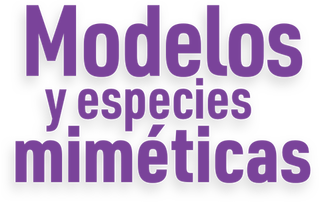 Modelos y especies miméticas