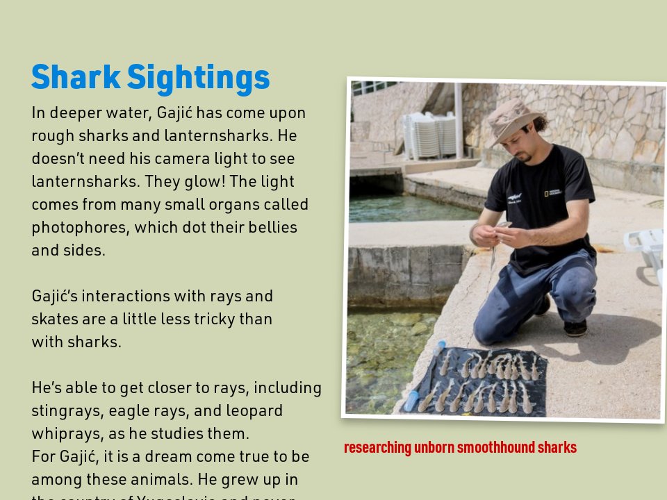 Shark Sightings ,Dangerous Waters & Under the Microscope - Ouf of the ...