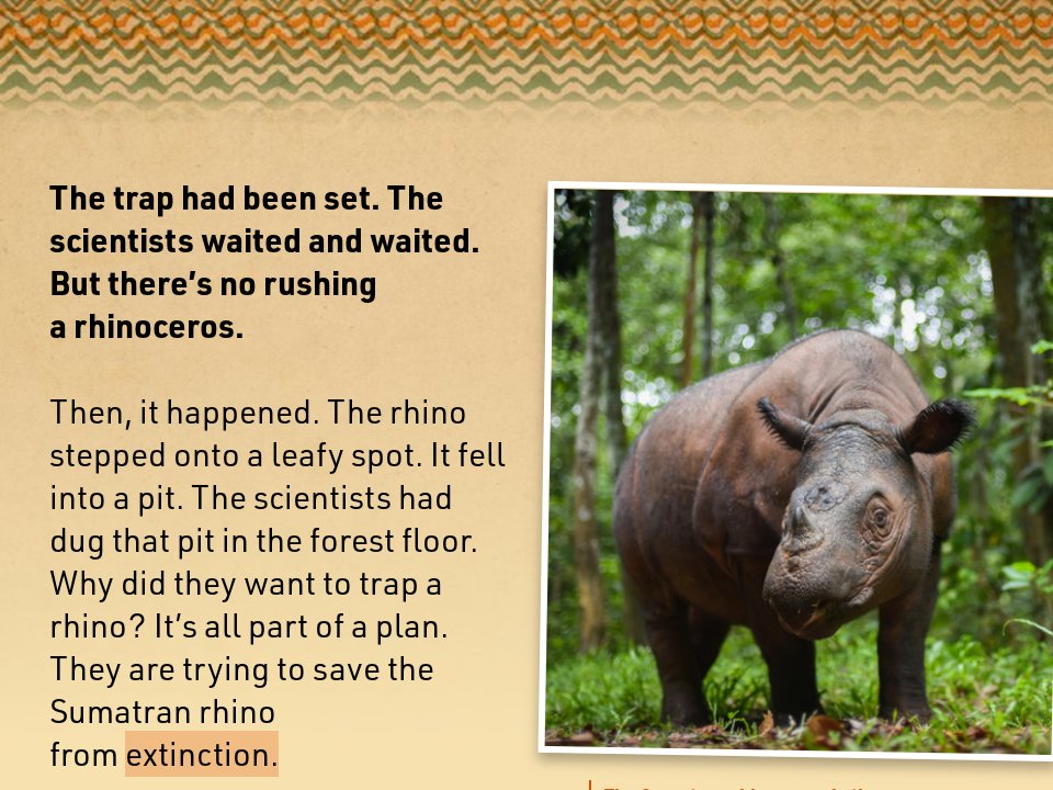 Rhinos in Trouble & A Rescue Plan - Rhino Rescue - Pioneer September 2019