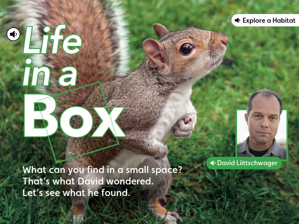 Life in a Box Activity - Scout May 2020