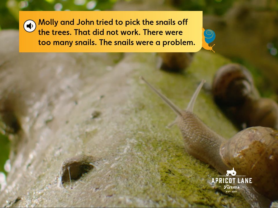 Snail Explorer Water All Around 1 - Voyager March 2021