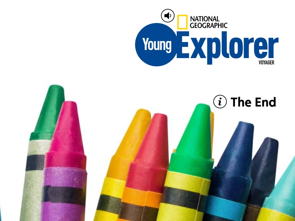 Polar Bear 3 - Voyager November/December 2019