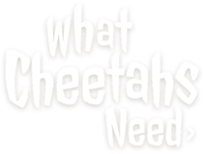 What Cheetahs Need