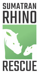 sumatran rhino rescue